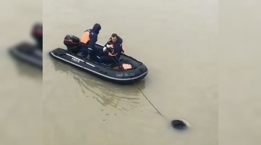  © Скриншот из видео