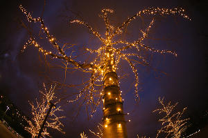Новогодний парк «Краснодар» © Фото Дениса Яковлева, Юга.ру