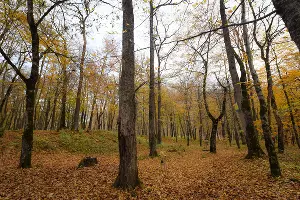  &copy;&nbsp;Фото Елены Синеок, Юга.ру