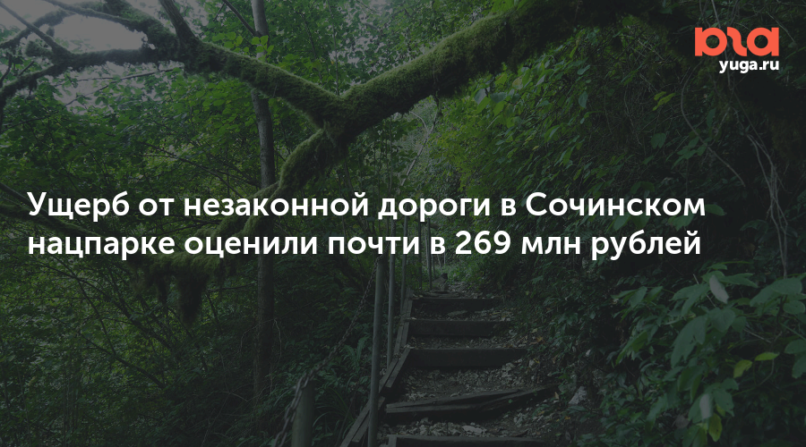 Ущерб от незаконной дороги в Сочинском нацпарке оценили почти в 269 млн рублей