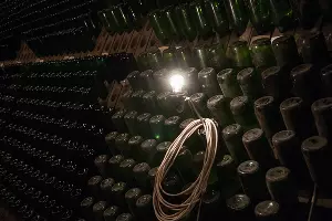  &copy;&nbsp;Фото Елены Синеок, Юга.ру