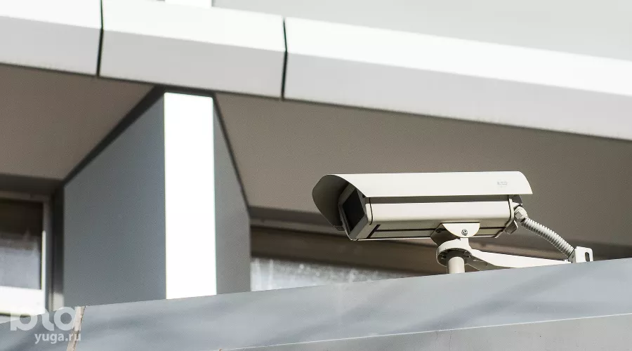  &copy;&nbsp;Фото Елены Синеок, Юга.ру