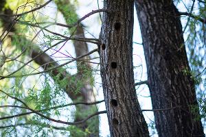  &copy;&nbsp;Фото Натальи Букреевой