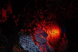 Выставка Вани Венмера Process &copy;&nbsp;Фотография предоставлена кураторской группой Plague