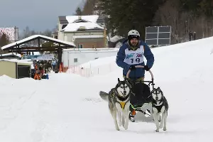 Гонка на собачьих упряжках «Лагонаки-2017» &copy;&nbsp;Фото Влада Александрова, Юга.ру