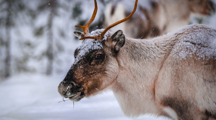  © Фото wirestock, ru.freepik.com