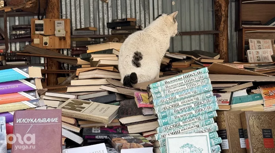 Книжный рынок в Чистяковской роще, апрель 2026 год &copy;&nbsp;Фото Валентины Найды, Юга.ру