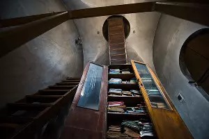  &copy;&nbsp;Фото Елены Синеок, Юга.ру