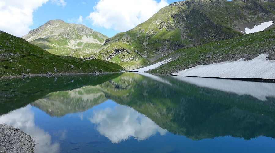  © Фото пресс-службы Кавказского заповедника
