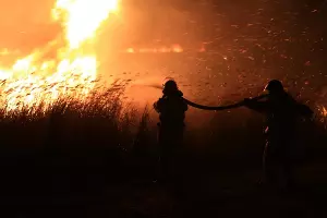 Пожар в плавнях Анапы &copy;&nbsp;Фото пресс-службы администрации Анапы