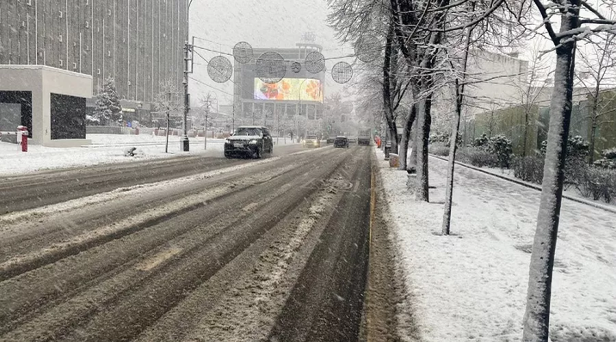  &copy;&nbsp;Фото пресс-службы мэрии Краснодара