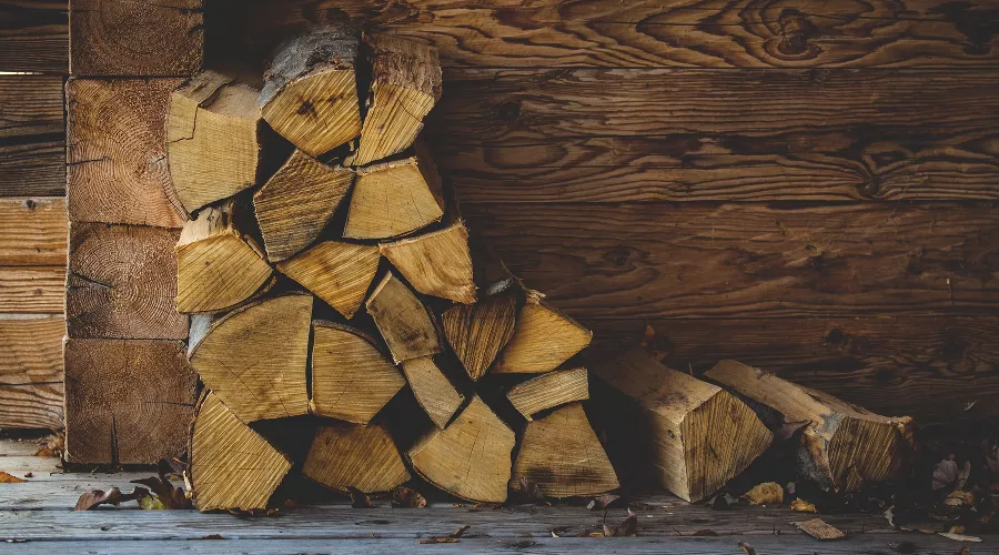  &copy;&nbsp;Фото с сайта pixabay.com