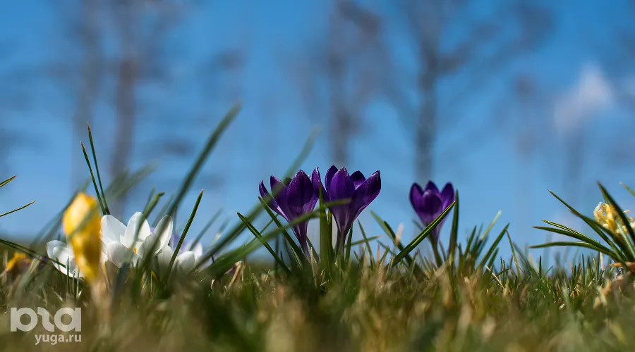  &copy;&nbsp;Фото Елены Синеок, Юга.ру