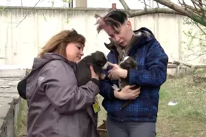 &copy;&nbsp;Кадр из видео канала Clean Futures Fund на youtube.com