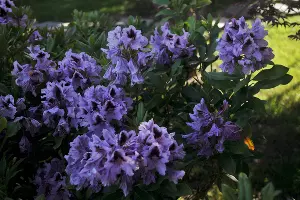  &copy;&nbsp;Фото Марины Солошко, Юга.ру