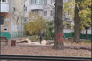  &copy;&nbsp;Скриншот из телеграм-канала &laquo;Типичный Краснодар&raquo; https://t.me/krd_tipich_ru/89784