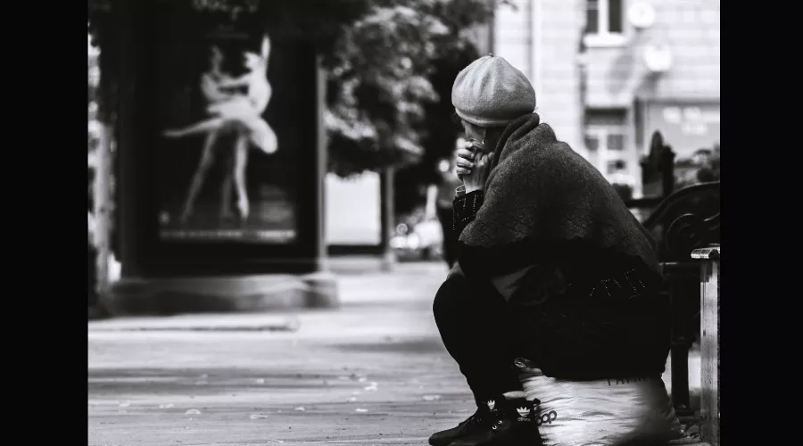  &copy;&nbsp;Скриншот из электронного письма от пресс-службы Краснодарского выставочного зала