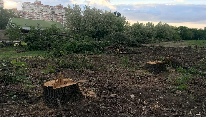  &copy;&nbsp;Фото Тимура Рыжкова, Юга.ру