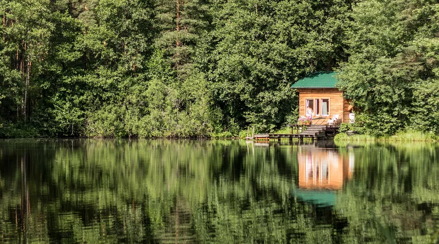  &copy;&nbsp;Изображение пользователя Alyona Bogomolova с unsplash.com
