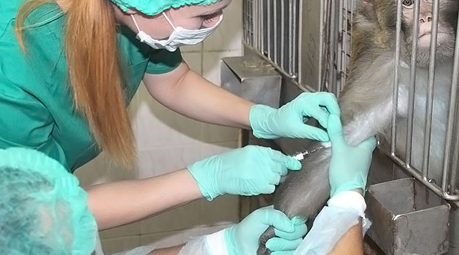  &copy;&nbsp;Фото пресс-службы НИИ медицинской приматологии РАМН