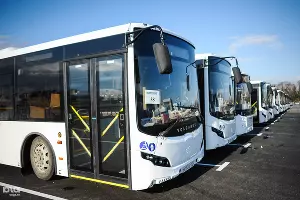  &copy;&nbsp;Фото Нины Зотиной, Юга.ру