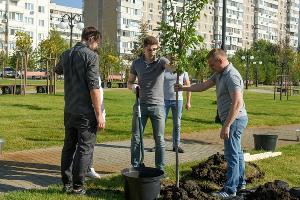  © Фото пресс-службы администрации Краснодара