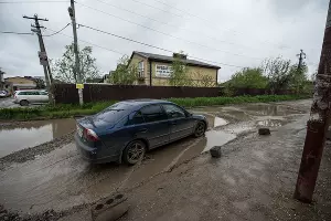  &copy;&nbsp;Фото Елены Синеок, Юга.ру