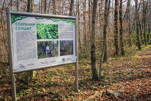  © Фото пресс-службы главы Республики Адыгея