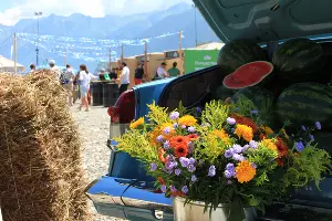 Гастрофест на «Роза Хутор» &copy;&nbsp;Фото Марины Солошко, Юга.ру