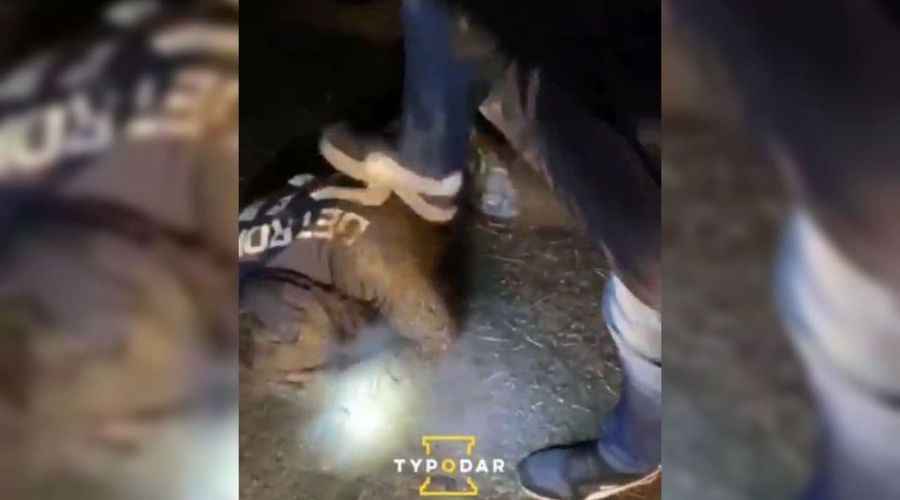  © Скриншот видео из телеграм-канала «Туподар», t.me/typodar