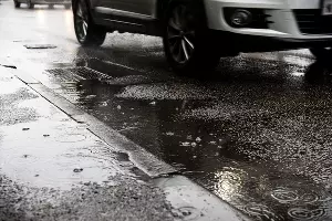  &copy;&nbsp;Фото Елены Синеок, Юга.ру