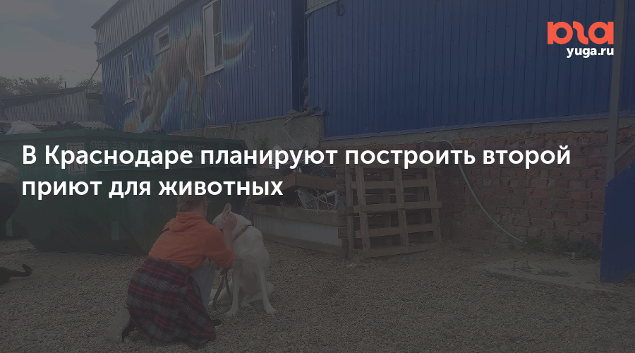 В Краснодаре планируют построить второй приют для животных