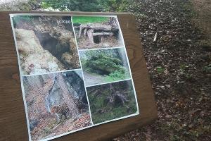 Маршрут «Тропа леопарда» © Фото Юга.ру