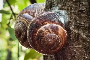  &copy;&nbsp;Фото пресс-службы &laquo;Шато Пино&raquo;, instagram.com/chateau_pinot_winery