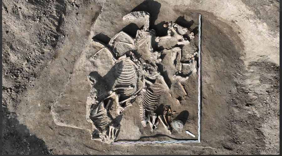  &copy;&nbsp;Скриншот из телеграм-канала управления госохраны объектов культурного наследия администрации края https://t.me/ugooknakk/983