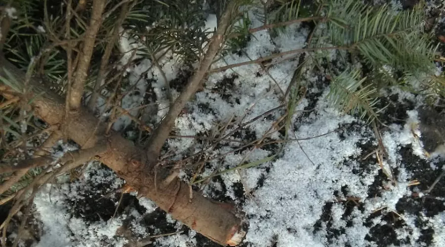  &copy;&nbsp;Фото пресс-службы ГУ МВД России по Краснодарскому краю