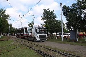  © Фото пресс-службы мэрии Краснодара