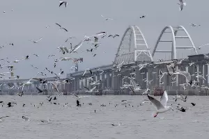  &copy;&nbsp;Фото инфоцентра &laquo;Крымский мост&raquo;