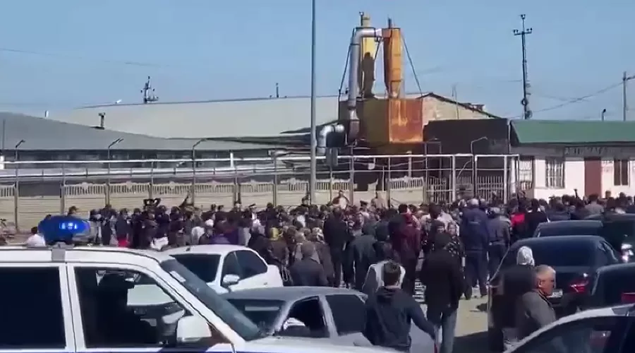  &copy;&nbsp;Скриншот видео из телеграм-канала &laquo;Спросите у Расула&raquo;, t.me/askrasul