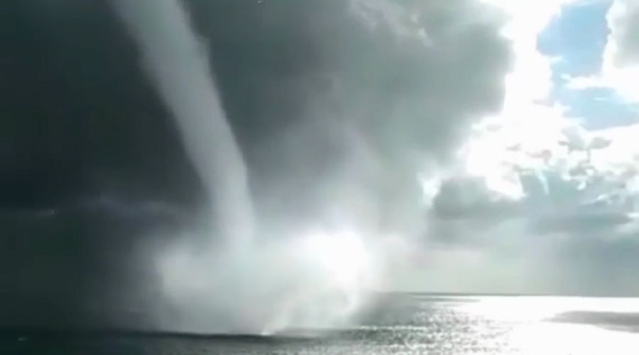  © Скриншот видео из инстаграма sochi.24, instagram.com/sochi.24/