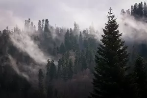 Экспедиция в горную Абхазию &copy;&nbsp;Фото Елены Синеок, Юга.ру