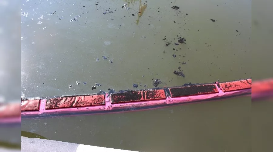  &copy;&nbsp;Фото пресс-службы Росприроднадзора