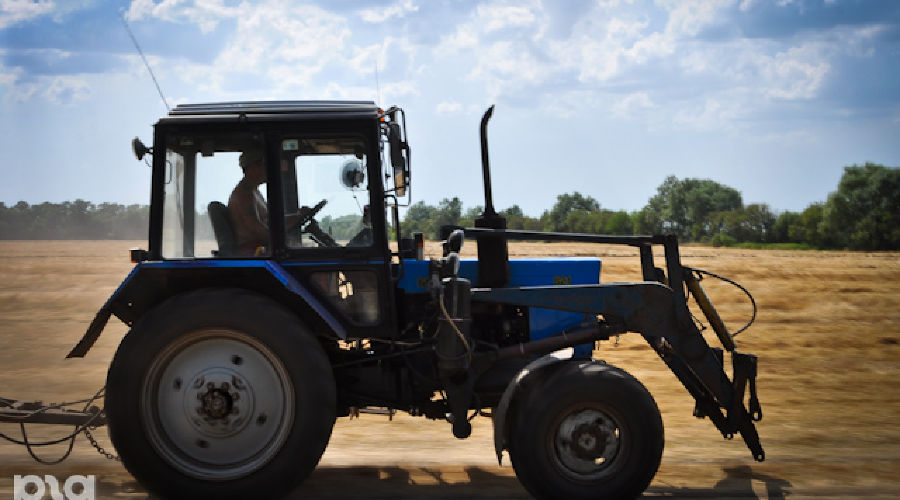 Жатва © Елена Синеок. ЮГА.ру