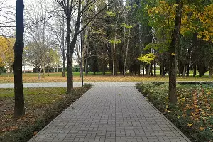 Место, предусмотренное под памятник &copy;&nbsp;Фото пресс-службы администрации Сочи