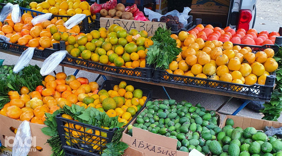  © Фото Марины Солошко, Юга.ру