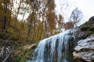 Водопады Руфабго в Адыгее &copy;&nbsp;Фото Елены Синеок, Юга.ру