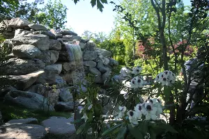 Весна в Японском саду парка &laquo;Краснодар&raquo; &copy;&nbsp;Фото Марины Солошко, Юга.ру