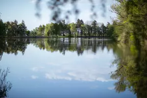  &copy;&nbsp;Фото Натальи Букреевой