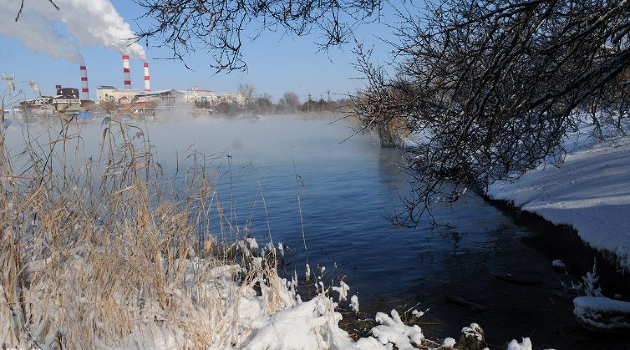 Зима в Краснодаре © Елена Синеок. ЮГА.ру