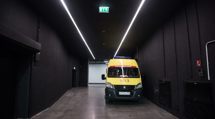  © Фото Елены Синеок, Юга.ру